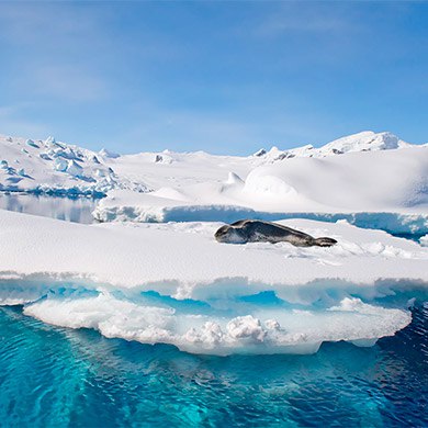 Antarctic-Peninsula2.jpg